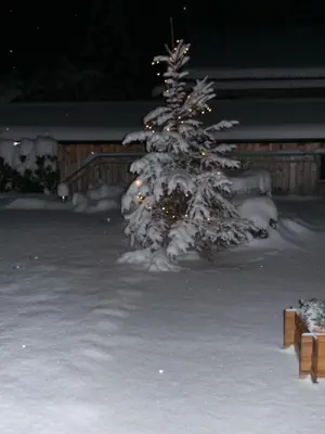Ferienwohnung Prosch im Winter