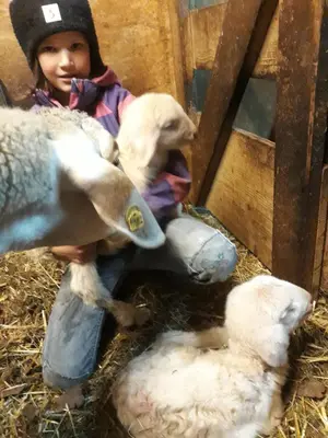 Tiere in der Ferienwohnung oder in der Nähe