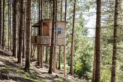 Naturlandschaft in der Nähe der Ferienwohnung