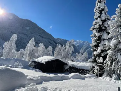 Apartment Wildalmblick im Winter