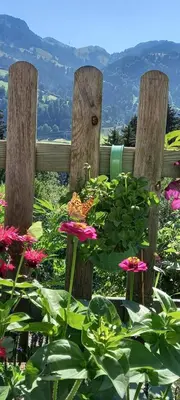 Ein Garten an der Unterkunft Filzenhof