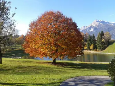 Naturlandschaft in der Nähe der Ferienwohnung