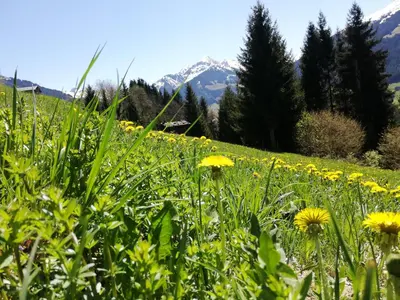 Naturlandschaft in der Nähe der Ferienwohnung