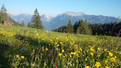 Naturlandschaft in der Nähe der Ferienwohnung