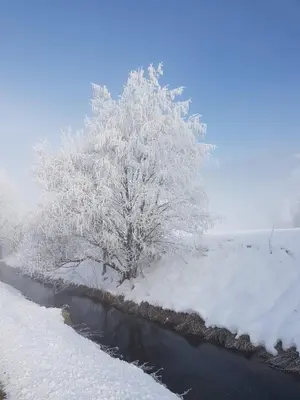 Apartment Maria im Winter