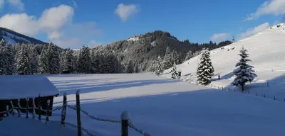 Haus Jessica incl National Park Sommercard im Winter