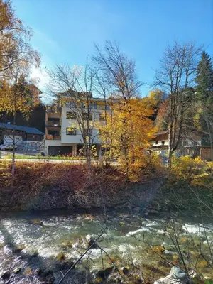 Naturlandschaft in der Nähe der Ferienwohnung