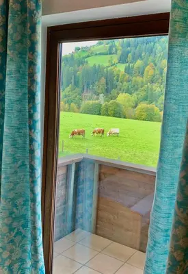Grundriss der Unterkunft Fleckalm Chalets