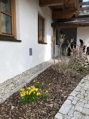 Ein Garten an der Unterkunft Patagonien