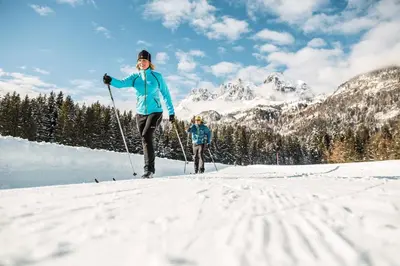Grundriss der Unterkunft Apartment Sunnyside Premium by Alpine Host Helpers