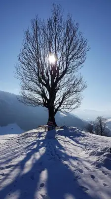 Naturlandschaft in der Nähe der Pension