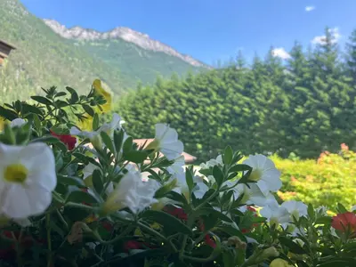 Ein allgemeiner Bergblick oder ein Berglick von der Ferienwohnung aus