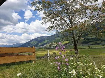 Naturlandschaft in der Nähe des Ferienhauses