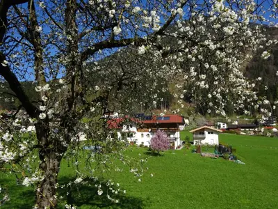 Ein Garten an der Unterkunft Landhaus Alpenblick