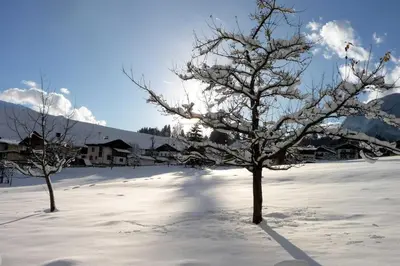 Naturlandschaft in der Nähe der Ferienwohnung