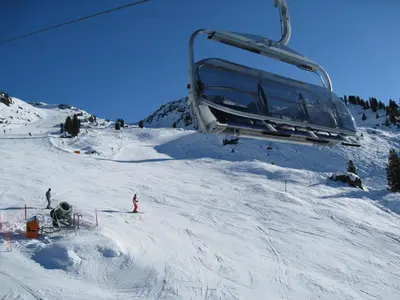 Das Edelweiss im Winter