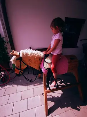 Gäste, die in der Unterkunft Ferienwohnung Kaiserblick Kössen übernachten