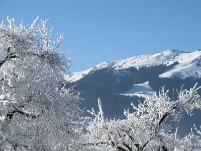 Naturlandschaft in der Nähe der Ferienwohnung