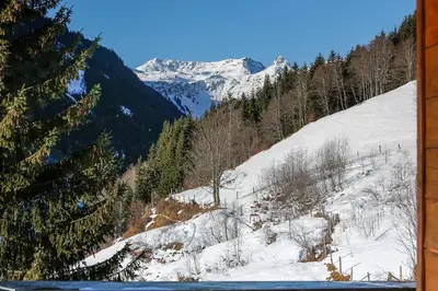Naturlandschaft in der Nähe der Ferienwohnung