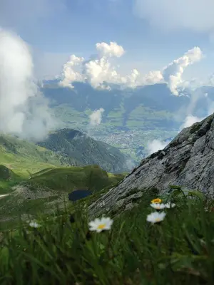 Naturlandschaft in der Nähe der Ferienwohnung