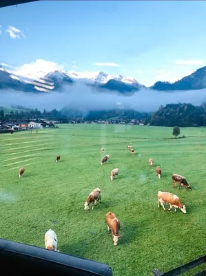 Naturlandschaft in der Nähe der Ferienwohnung