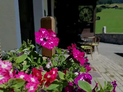 Ein Garten an der Unterkunft Ferienwohnung Oberkofler