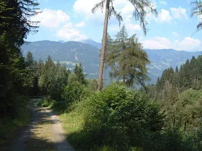Grundriss der Unterkunft Appartementhaus Angelika