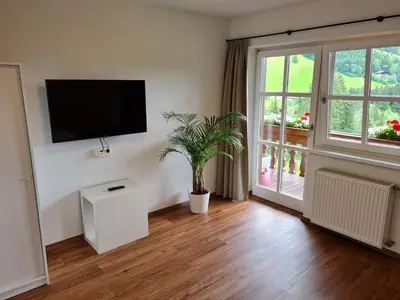 TV/Unterhaltungsangebot in der Unterkunft Ferienwohnung Zauberwinkelweg mit Traum-Aussicht!