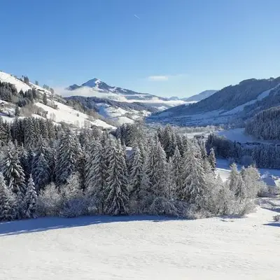 Ferienwohnung Zauberwinkelweg mit Traum-Aussicht!