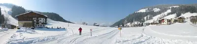 Pension Schneerose im Winter