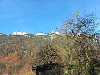 Ein allgemeiner Bergblick oder ein Berglick von der Ferienwohnung aus