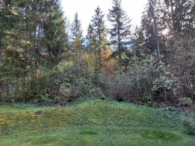 Ein Garten an der Unterkunft Ferienwohnung am Wald
