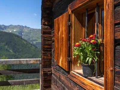 Ein allgemeiner Bergblick oder ein Berglick von des Ferienhauses aus