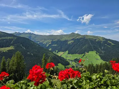 Naturlandschaft in der Nähe des Ferienhauses