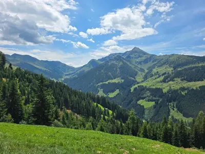 Naturlandschaft in der Nähe des Ferienhauses