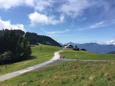 Naturlandschaft in der Nähe der Ferienwohnung