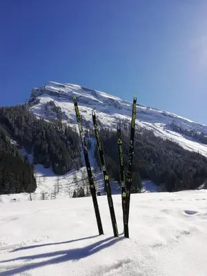 Grundriss der Unterkunft Appartement Zillertal Arena Zell am Ziller