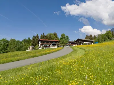 Naturlandschaft in der Nähe der Ferienwohnung