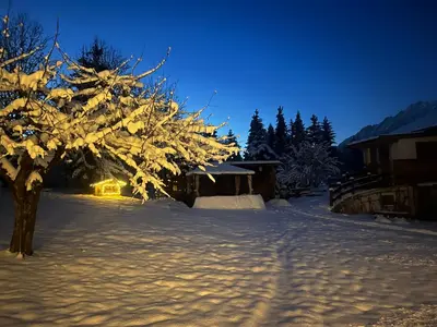 Appartement Waldmoos im Winter