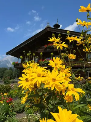 Ein Garten an der Unterkunft Pension Mirabelle