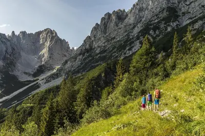 Naturlandschaft in der Nähe des Bauernhofs