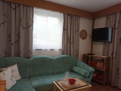 TV/Unterhaltungsangebot in der Unterkunft Haus Pirchl