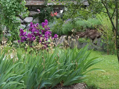 Ein Garten an der Unterkunft Appartement Birgla