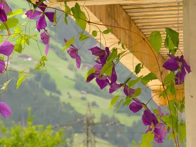 Ein Garten an der Unterkunft Appartement Birgla