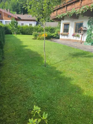 Ein Garten an der Unterkunft Merryshof