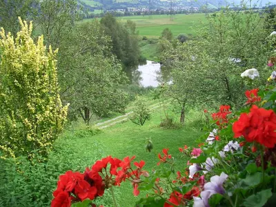Naturlandschaft in der Nähe des Bauernhofs
