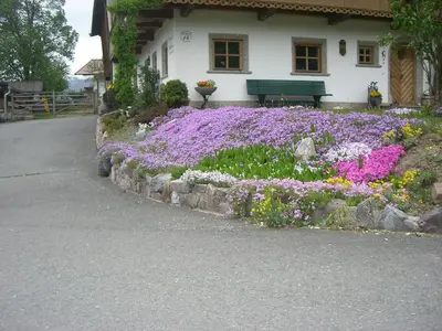 Ein Garten an der Unterkunft Vorderstockerhof