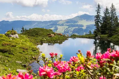 Naturlandschaft in der Nähe der Ferienwohnung
