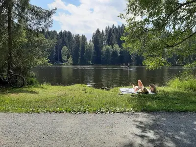 Naturlandschaft in der Nähe der Ferienwohnung