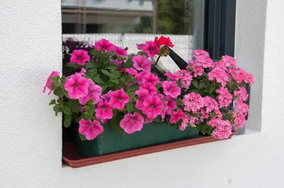 Grundriss der Unterkunft Ferienwohnung Heissl